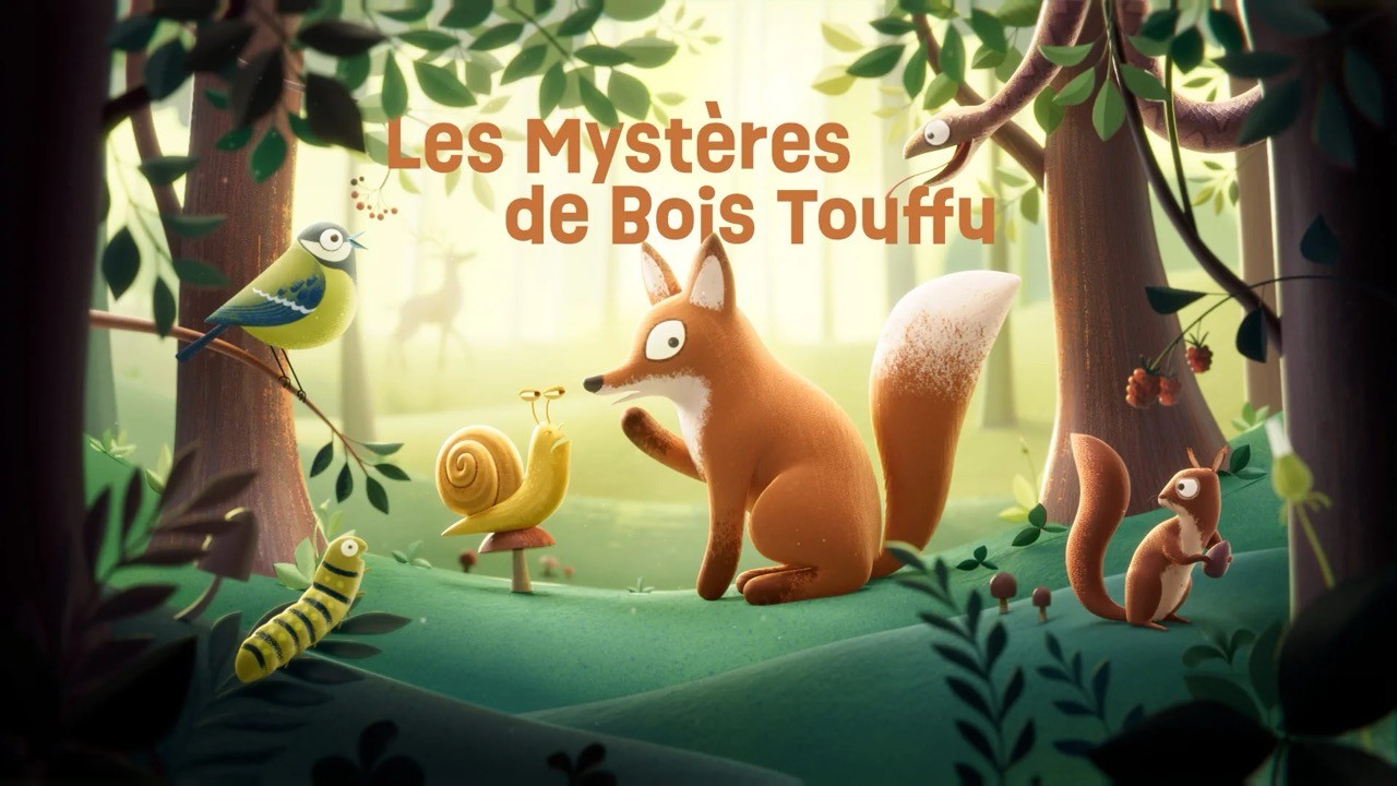 LES MYSTÈRES DE BOIS TOUFFU